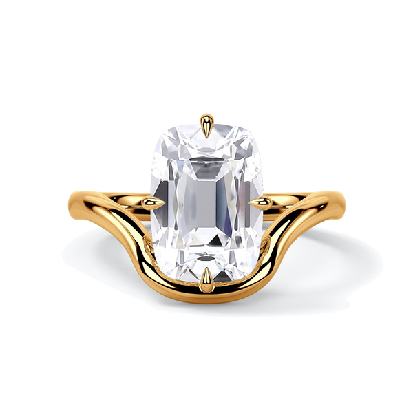 The Karli, top view