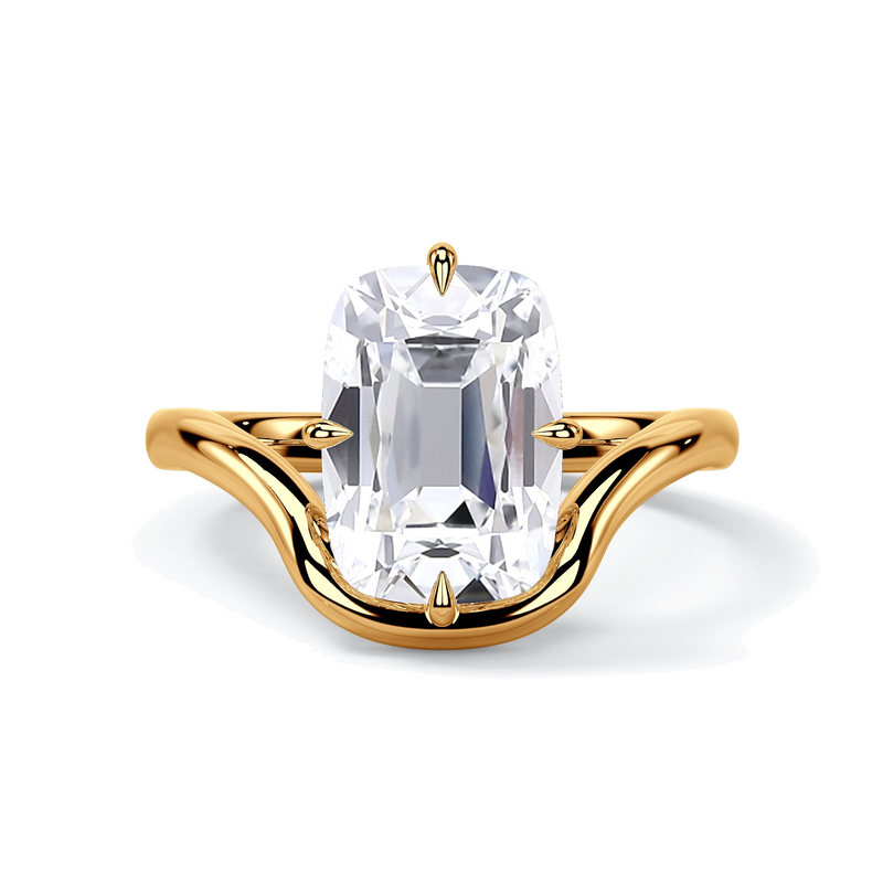 The Karli, top view