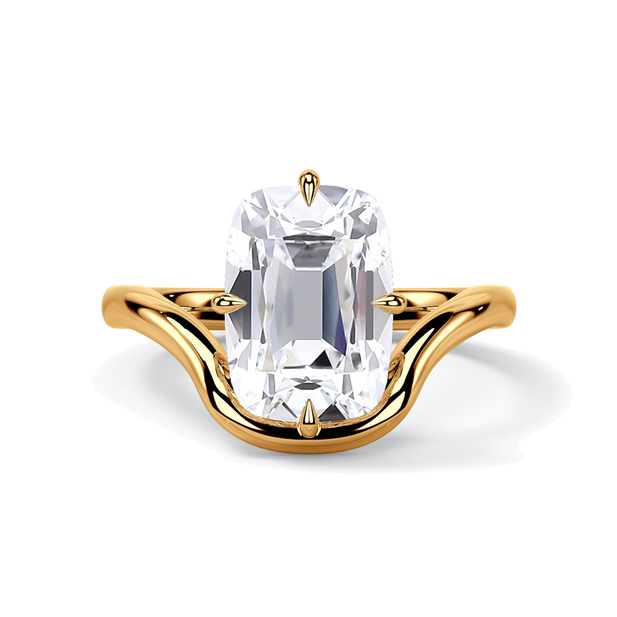 The Karli, top view